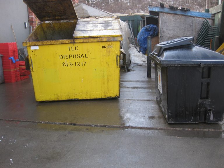 Pressure washed dumpsters Pressure washed dumpsters